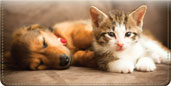 Humane World for Animals