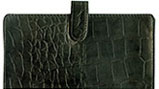 Black Crocodile